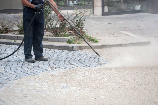 Best Brick and Stone Cleaning in Ly Lake, IL